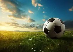 郑钦文止步,迪拜站女单,九游体育,九游体育,JiuYou,九游体育网址,九游app,九游官网,九游集团